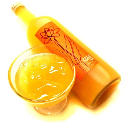 画像1: 【梅酒】 フルフル 完熟マンゴー梅酒 1.8L