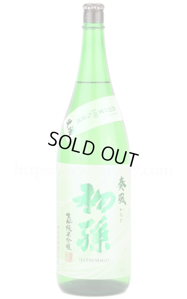 画像1: 【日本酒】 初孫 奏風(かなた) 生もと純米吟醸 生酒 2024 1.8L（要冷蔵） (1)