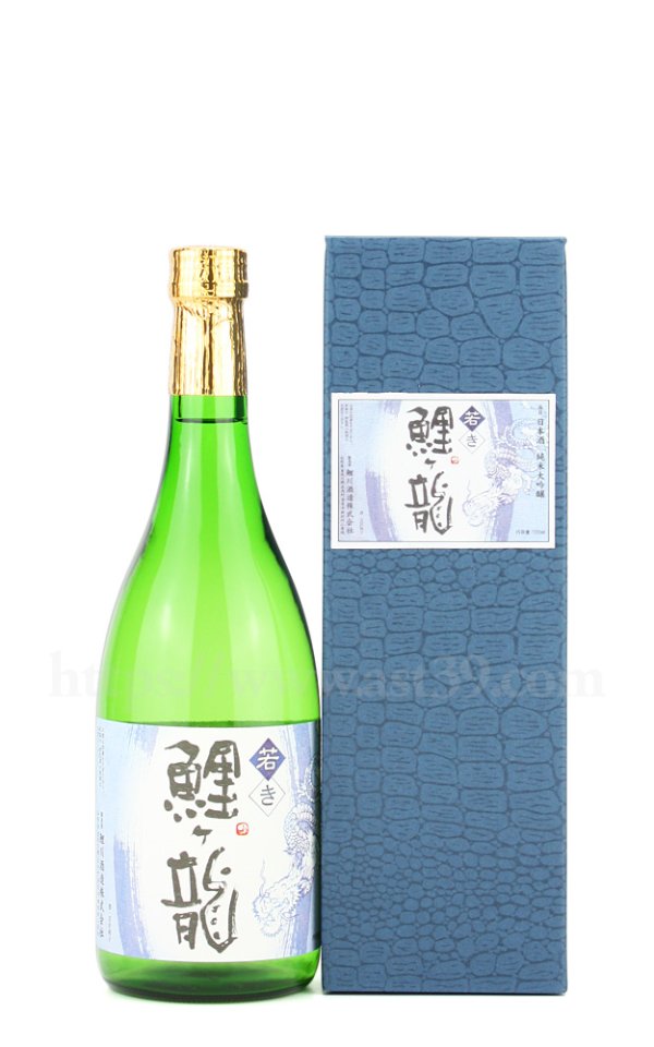 画像1: 【日本酒】 鯉川 若き鯉ヶ龍 純米大吟醸 720ml (1)