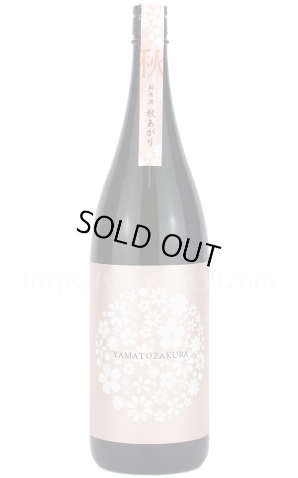 画像1: 【日本酒】 やまと桜 やまと秋桜 純米酒 1.8L (1)