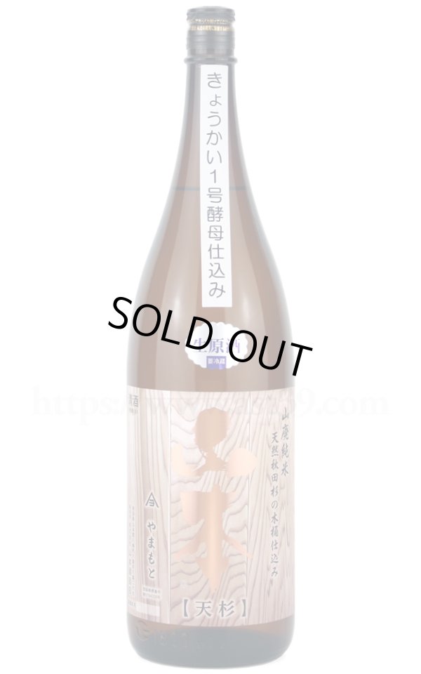 画像1: 【日本酒】 山本 天杉 山廃純米 生原酒 R6BY 1.8L（要冷蔵） (1)