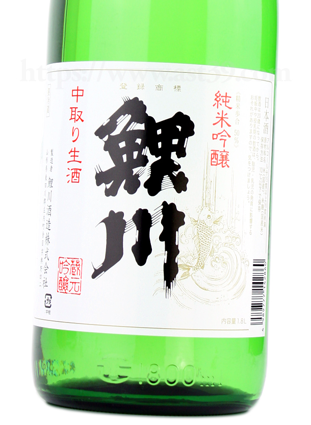 鯉川 純米吟醸 中取り生酒