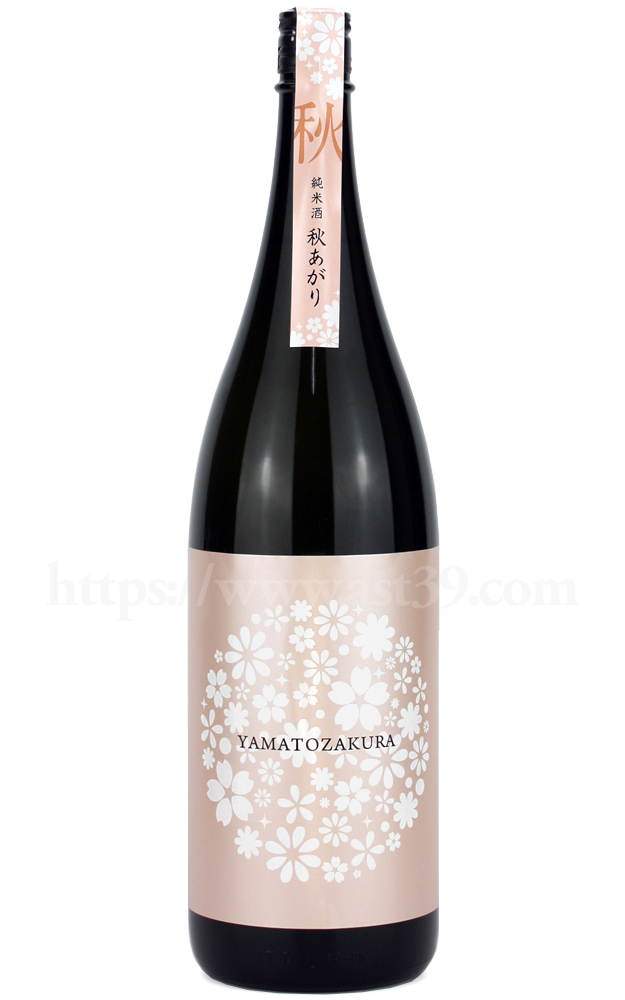 日本酒／やまと桜 やまと秋桜 純米酒 1.8L ｜ 厳撰美酒 阿部酒店